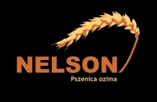 Topfarms Nelson