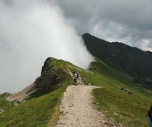 Koszulka Tatry