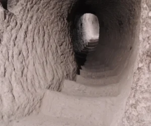 Koszulka na wyprawę do Gruzji