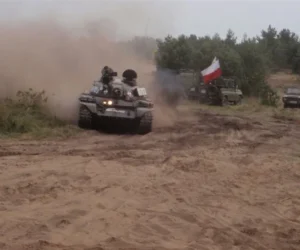 borne sulinowo agraf