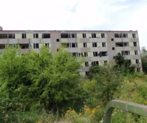 borne sulinowo agraf