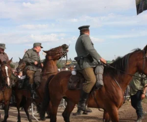 borne sulinowo agraf