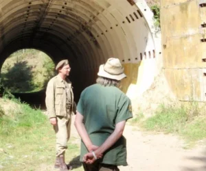 borne sulinowo agraf