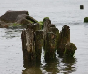 darlowo agraf relacja