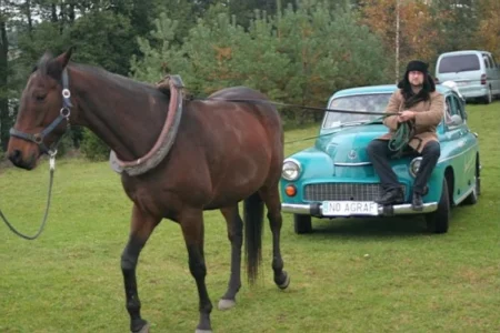 Sesja – Janowo 2006 Sesja – Janowo 2006