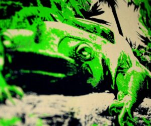 koszulki motoryzacyjne promostars