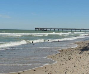 promostars warszawa kaliningrad